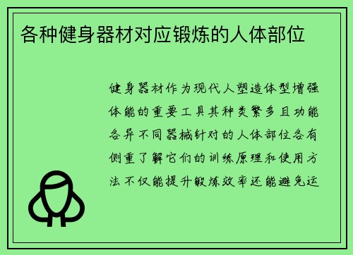 各种健身器材对应锻炼的人体部位